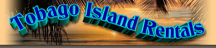 Tobago Sport Fishing Guides, Tobago Fishing Guides, fishing Tobago, Charters Tobago, Sea Turtles, Snorkeling Tobago, kayak rentals, canoe rentals, Grafton Beach, Black Rock Beach